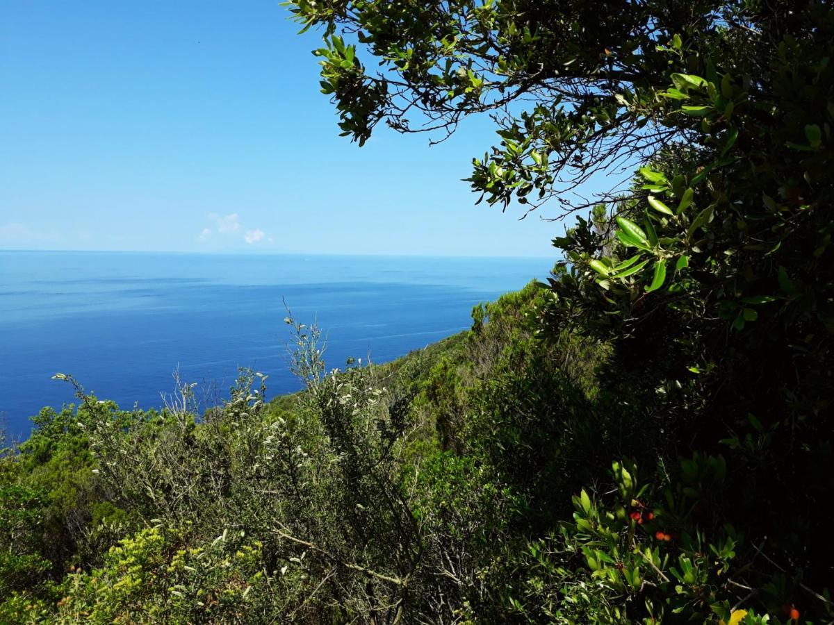 Appartamento Claudi A San Vincenzo Bagian luar foto