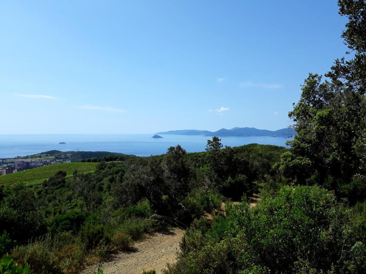 Appartamento Claudi A San Vincenzo Bagian luar foto